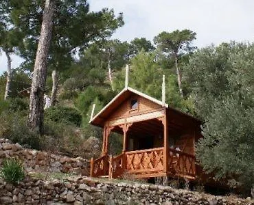 Shambala